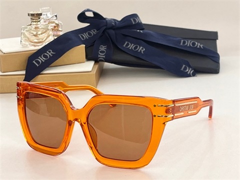 dior sunglass-134